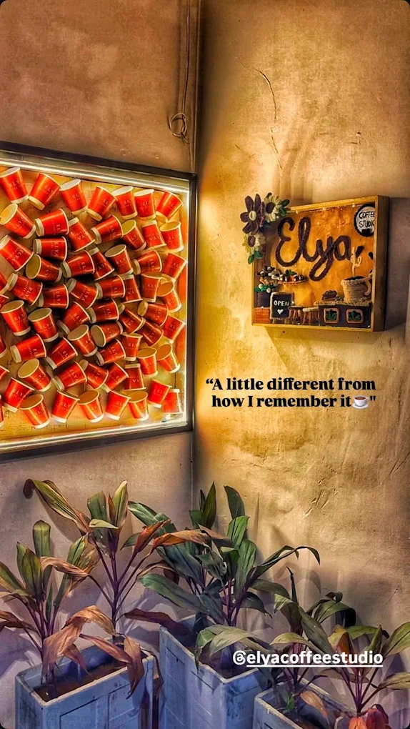 Backlit display of terracotta cups beside a handmade ELYA sign